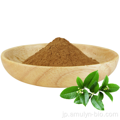純粋な天然緑茶抽出物EGCGバルクポリフェノール